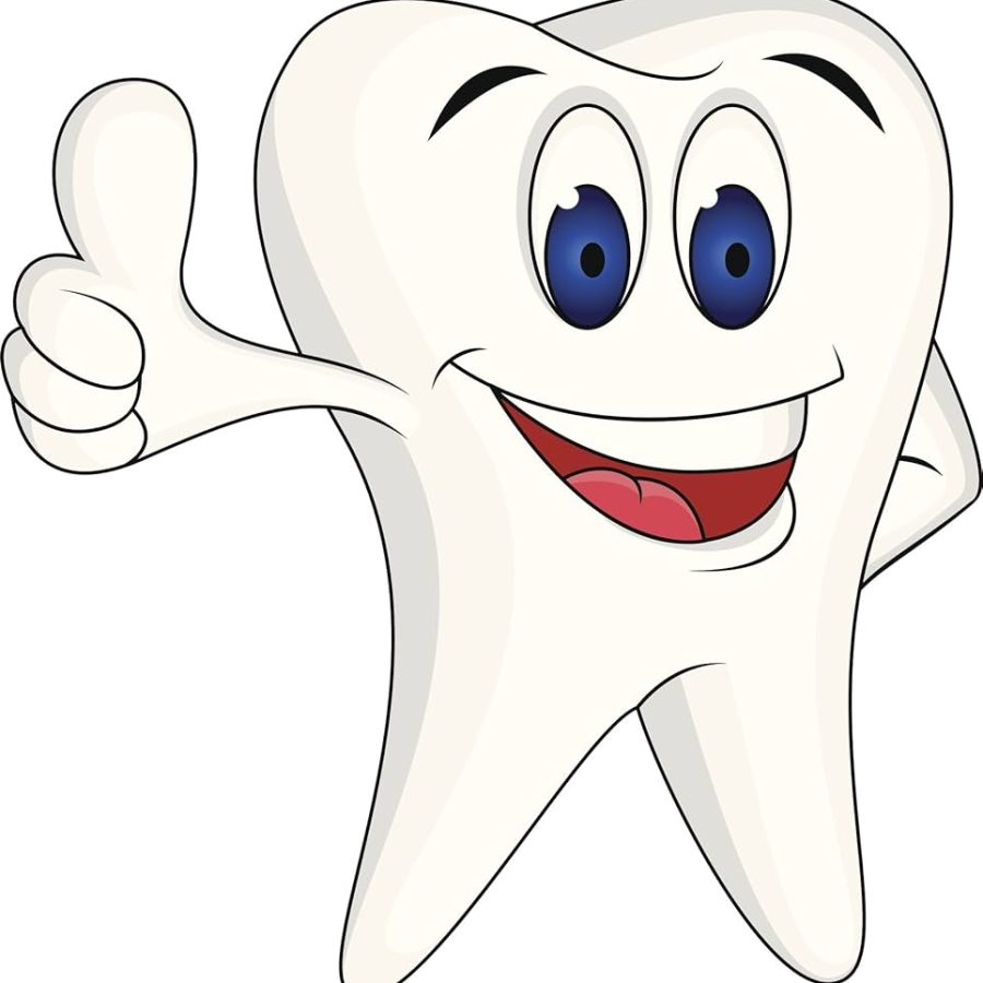 71c316SucqL._AC_UF1000,1000_QL80_